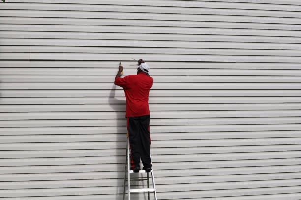 Affordable Siding Repair and Maintenance Services in Cumberland, IN